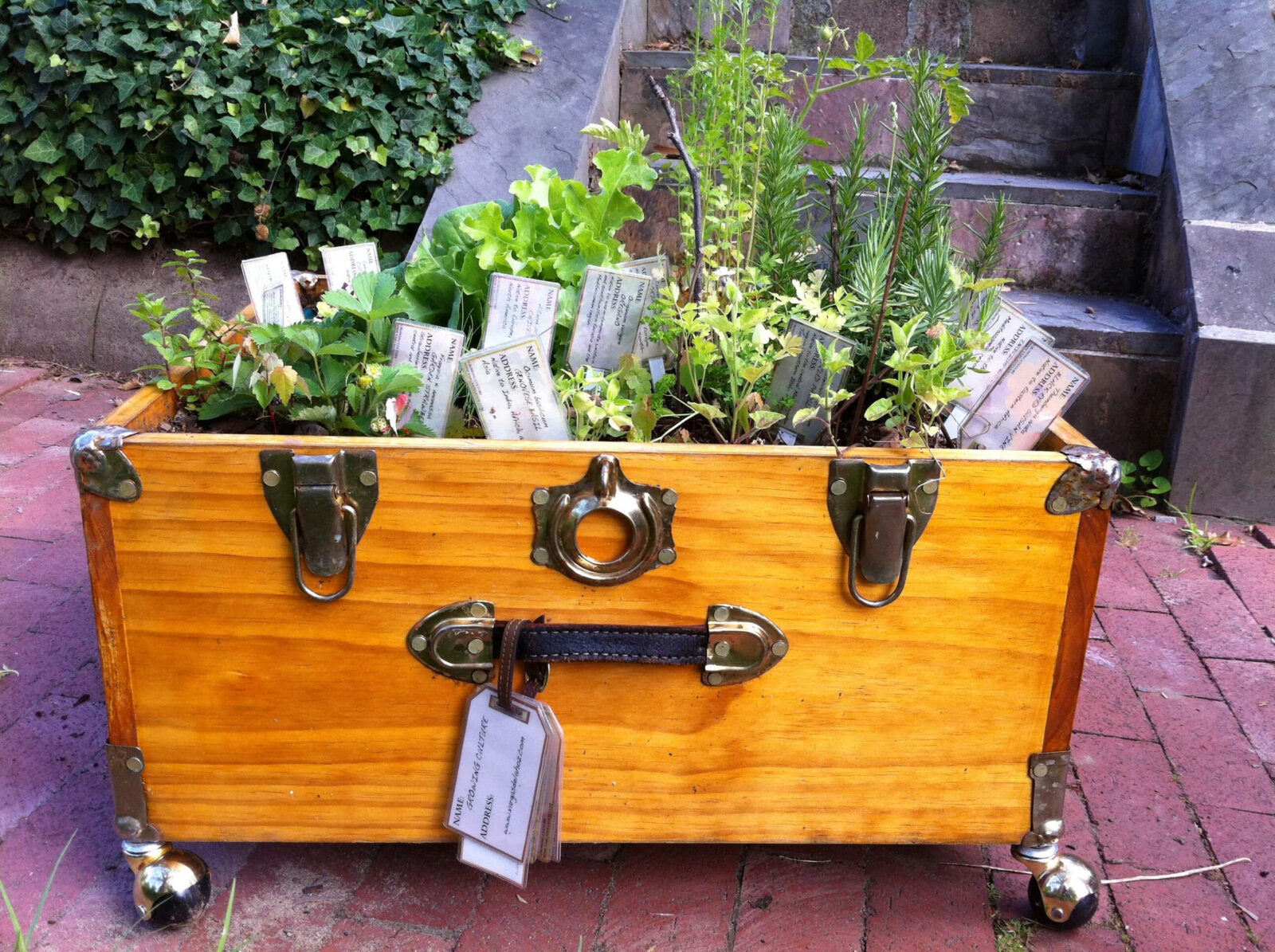 Wooden suitcase converted into a planted container with herbs and vegetables, placed in an outdoor setting.