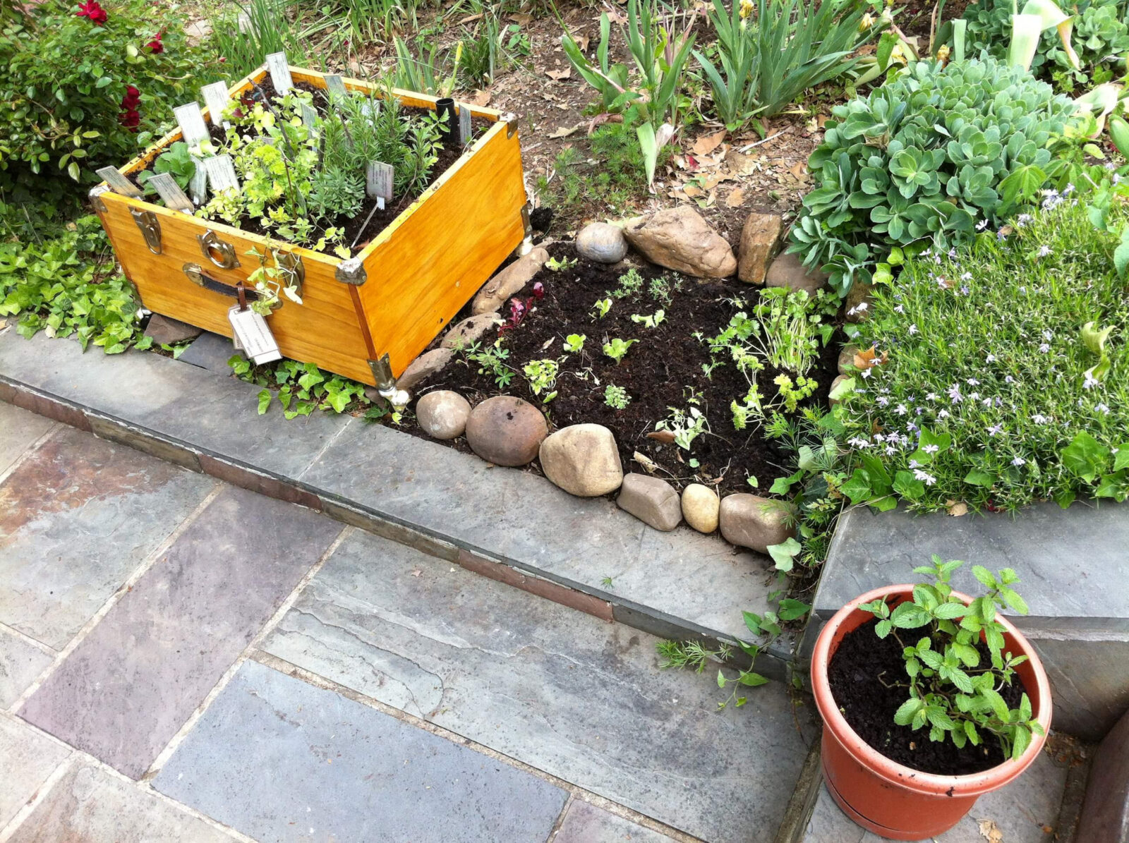 Planted suitcase integrated into a garden bed, surrounded by stones and existing vegetation.