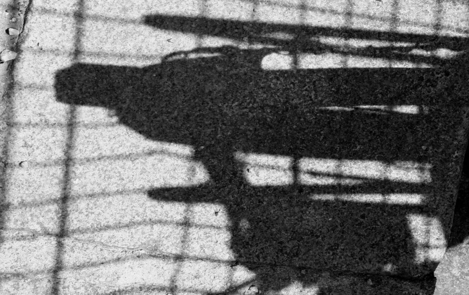 High-contrast shadow image emphasizing negative space and linear interruption.